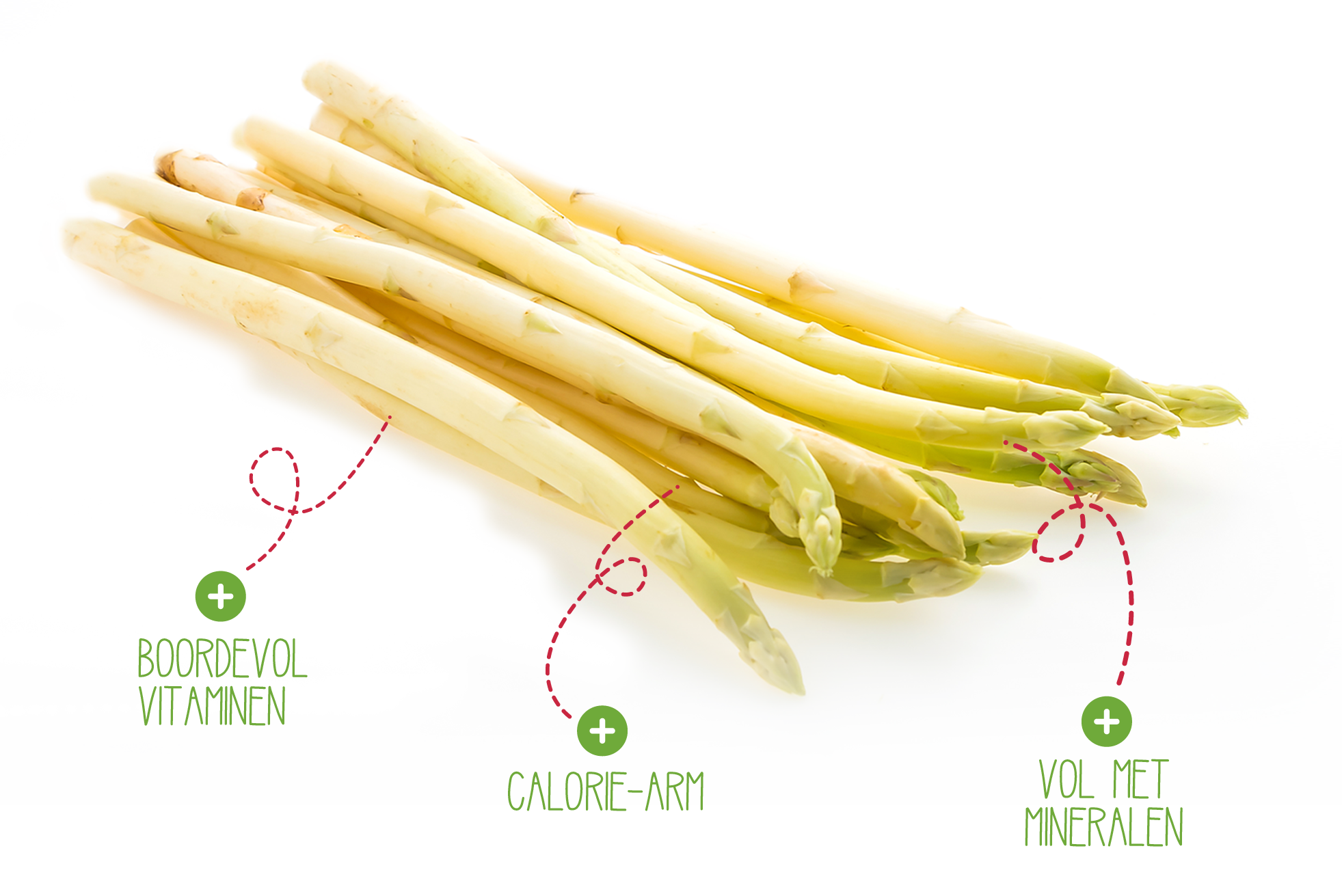 (c) Asperges-gemert.com